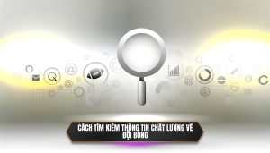 Cách tìm kiếm thông tin chất lượng về đội bóng